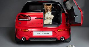 Dog-friendly-MINI-Clubman